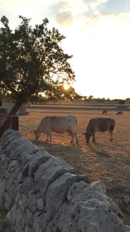 Agriturismo Il Melograno Cannizzara Exteriér fotografie
