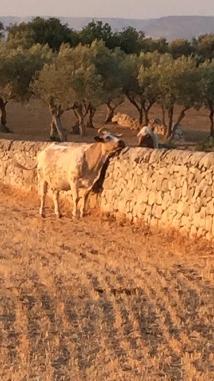 Agriturismo Il Melograno Cannizzara Exteriér fotografie